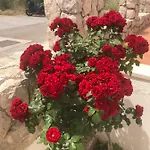 Appartement Adriatic Blue Dubrovnik