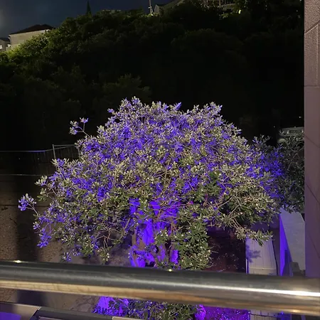 蓝色亚得里亚海公寓酒店 * 杜布罗夫尼克