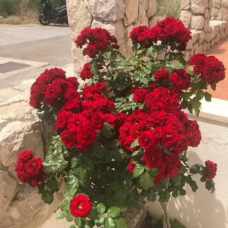 Apartman Adriatic Blue Dubrovnik