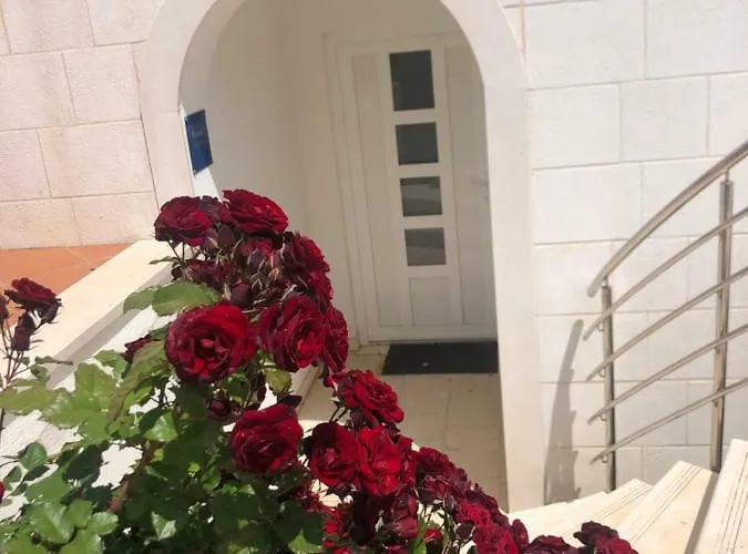 アパート アパートメント　アドリアティック　ブルー ドゥブロブニク