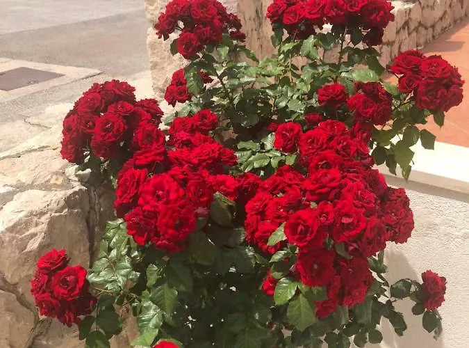 アパート アパートメント　アドリアティック　ブルー ドゥブロブニク